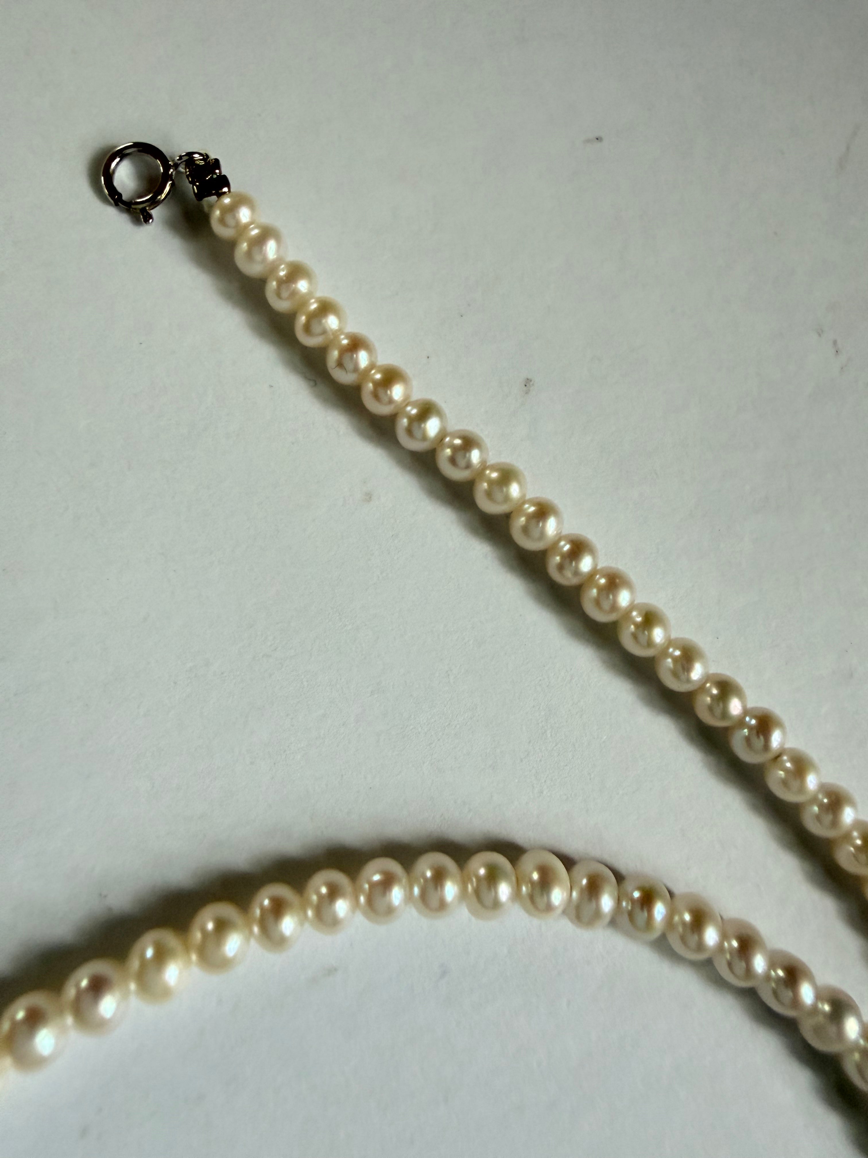 Minimalist 3–4mm white freshwater pearl choker necklace with a 925 sterling silver clasp on a white background.